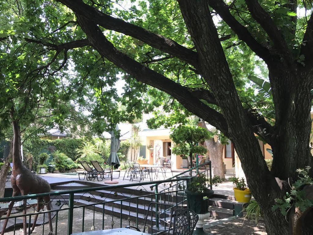 יוהנסבורג Elizabeth Manor Guest House מראה חיצוני תמונה